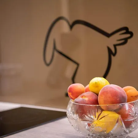 Carera Terrace Rovinj