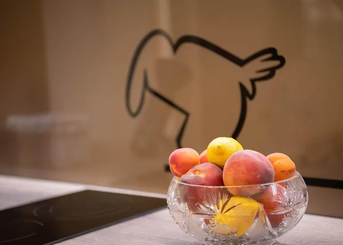 Carera Terrace Rovinj